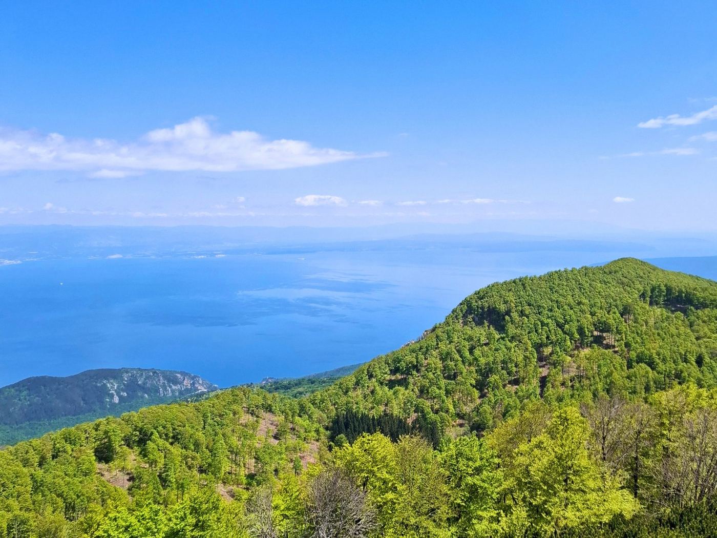 Short Escapes: Highlights of North Adriatic