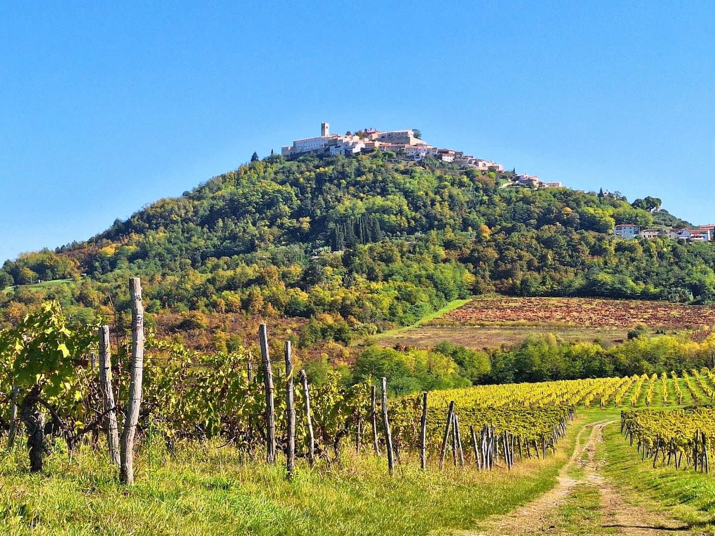 Short Escapes: Highlights of North Adriatic
